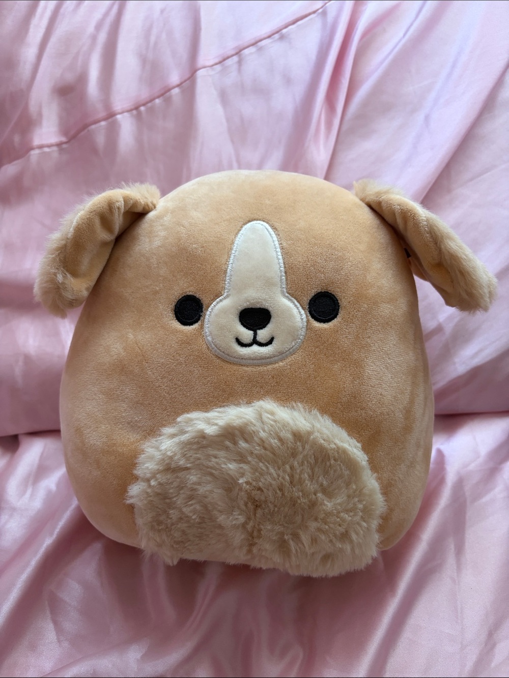 Stevon Fluffy Puppy Squishmallow